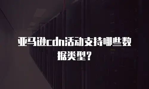 亚马逊cdn活动支持哪些数据类型？