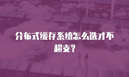 分布式缓存系统怎么选才不超支？
