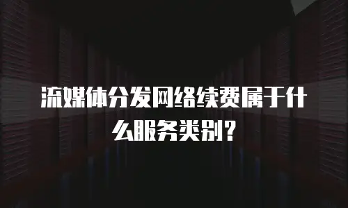 流媒体分发网络续费属于什么服务类别？