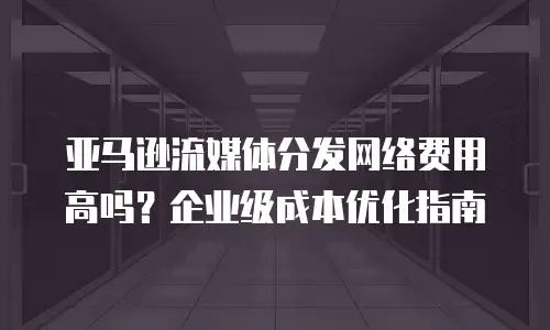 亚马逊流媒体分发网络费用高吗？企业级成本优化指南