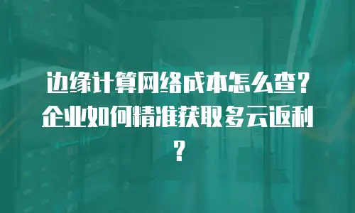 边缘计算网络成本怎么查？企业如何精准获取多云返利？