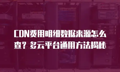 CDN费用明细数据来源怎么查？多云平台通用方法揭秘