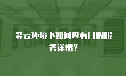 多云环境下如何查看CDN服务详情？