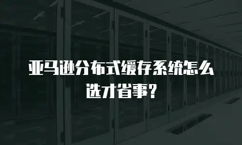 亚马逊分布式缓存系统怎么选才省事？