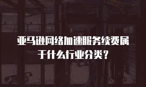 亚马逊网络加速服务续费属于什么行业分类？