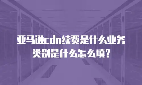 亚马逊cdn续费是什么业务类别是什么怎么填？