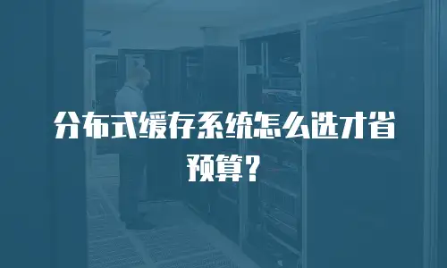 分布式缓存系统怎么选才省预算？