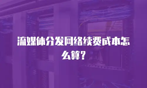 流媒体分发网络续费成本怎么算？