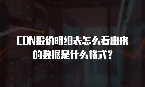 CDN报价明细表怎么看出来的数据是什么格式？