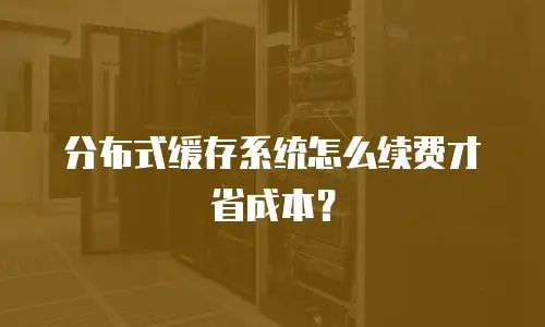 分布式缓存系统怎么续费才省成本？