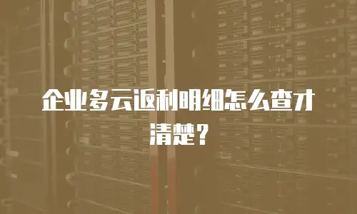 企业多云返利明细怎么查才清楚？
