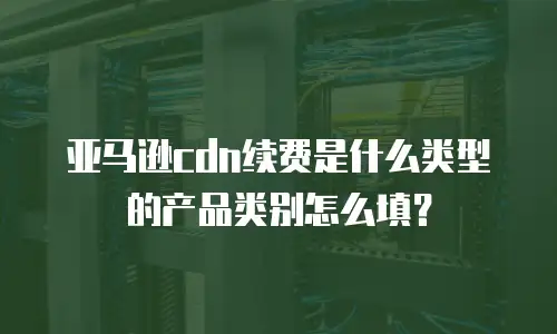 亚马逊cdn续费是什么类型的产品类别怎么填？