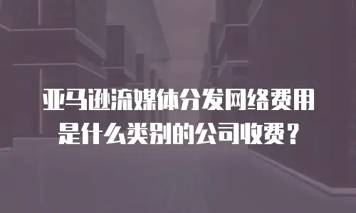 亚马逊流媒体分发网络费用是什么类别的公司收费？