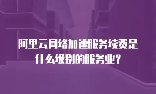 阿里云网络加速服务续费是什么级别的服务业？