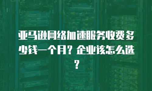亚马逊网络加速服务收费多少钱一个月？企业该怎么选？