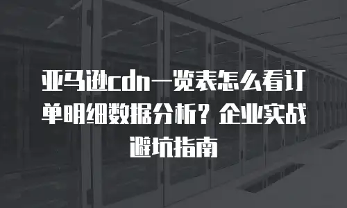 亚马逊cdn一览表怎么看订单明细数据分析？企业实战避坑指南