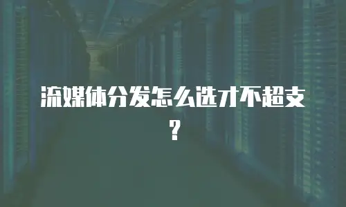 流媒体分发怎么选才不超支？