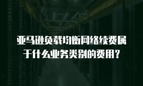 亚马逊负载均衡网络续费属于什么业务类别的费用？