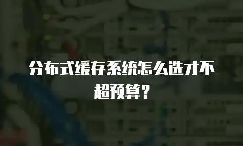 分布式缓存系统怎么选才不超预算？
