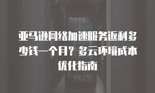 亚马逊网络加速服务返利多少钱一个月？多云环境成本优化指南