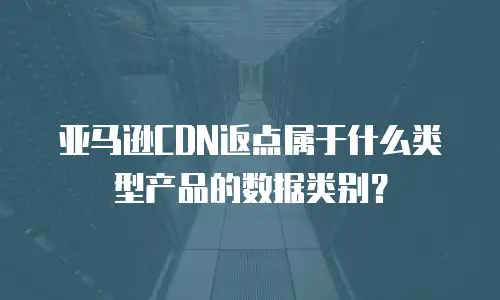 亚马逊CDN返点属于什么类型产品的数据类别？