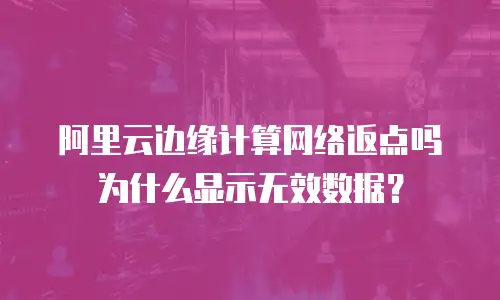 阿里云边缘计算网络返点吗为什么显示无效数据？