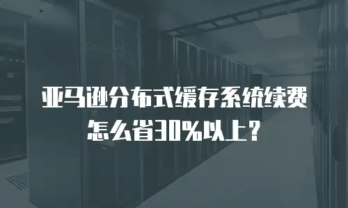 亚马逊分布式缓存系统续费怎么省30%以上？