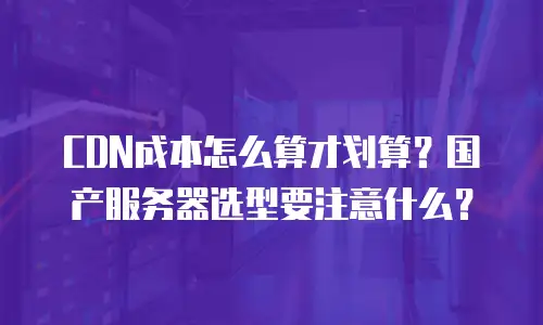 CDN成本怎么算才划算？国产服务器选型要注意什么？