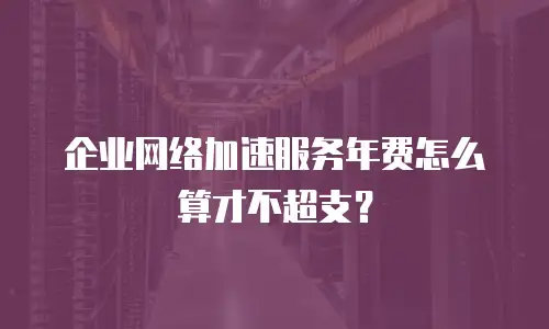 企业网络加速服务年费怎么算才不超支？