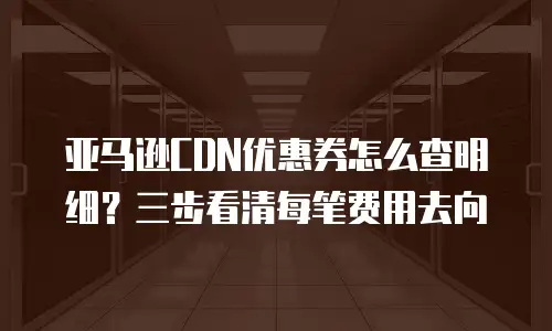 亚马逊CDN优惠券怎么查明细？三步看清每笔费用去向