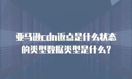 亚马逊cdn返点是什么状态的类型数据类型是什么？