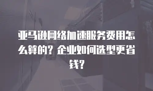 亚马逊网络加速服务费用怎么算的？企业如何选型更省钱？