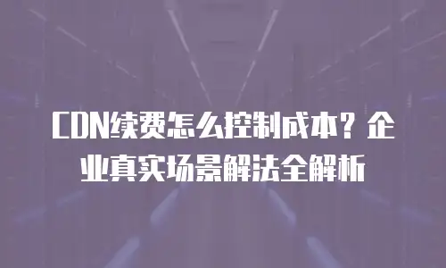 CDN续费怎么控制成本？企业真实场景解法全解析