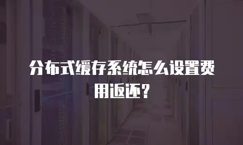 分布式缓存系统怎么设置费用返还？