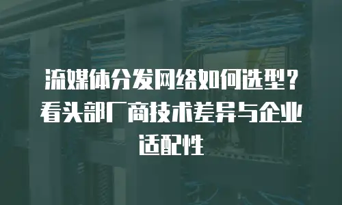 流媒体分发网络如何选型？看头部厂商技术差异与企业适配性