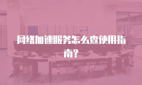 网络加速服务怎么查使用指南？