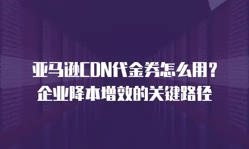 亚马逊CDN代金券怎么用？企业降本增效的关键路径