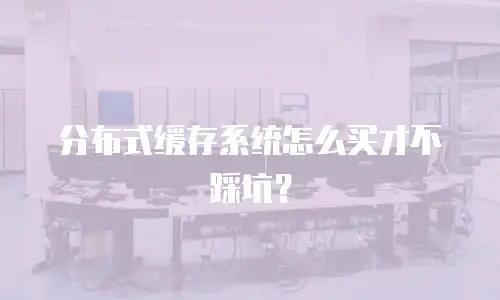 分布式缓存系统怎么买才不踩坑？
