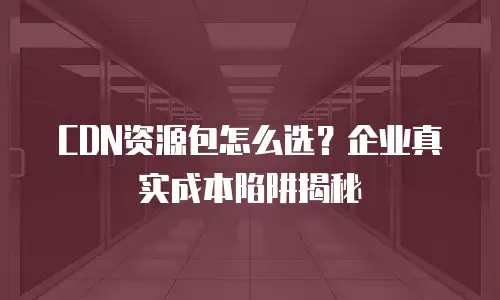 CDN资源包怎么选？企业真实成本陷阱揭秘