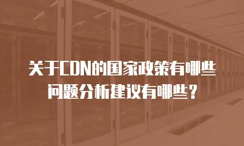 关于CDN的国家政策有哪些问题分析建议有哪些？