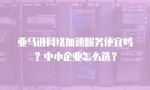 亚马逊网络加速服务便宜吗？中小企业怎么选？
