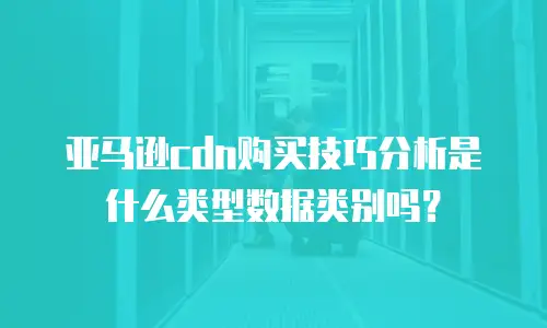 亚马逊cdn购买技巧分析是什么类型数据类别吗？