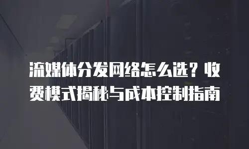 流媒体分发网络怎么选？收费模式揭秘与成本控制指南