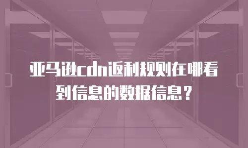 亚马逊cdn返利规则在哪看到信息的数据信息？
