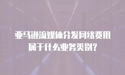 亚马逊流媒体分发网络费用属于什么业务类别？