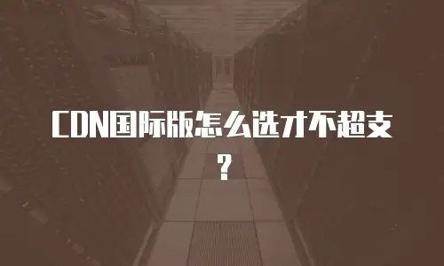 CDN国际版怎么选才不超支？