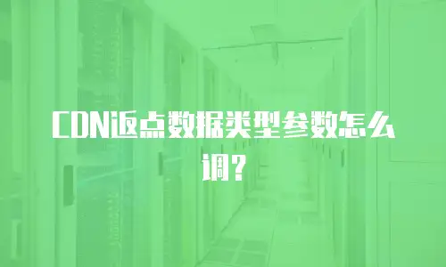 CDN返点数据类型参数怎么调？