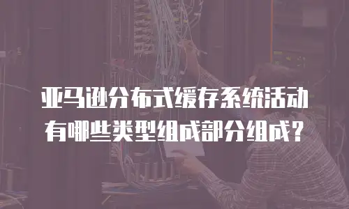 亚马逊分布式缓存系统活动有哪些类型组成部分组成？