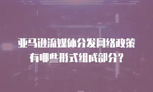 亚马逊流媒体分发网络政策有哪些形式组成部分？