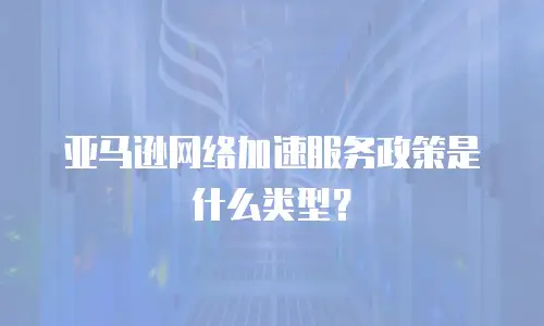 亚马逊网络加速服务政策是什么类型？